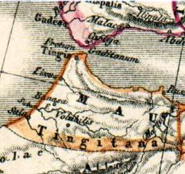 mauritania tingitana